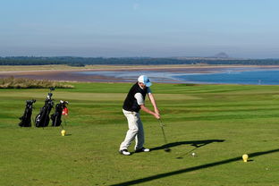 全运会男子体操单项决赛精彩纷呈，全运会男子体操单项冠军