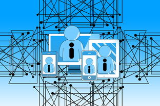 篮球专项技能课程创新与教学方法研究，篮球专项技术训练要点